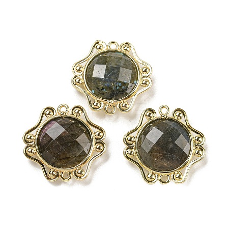 Natural Labradorite Faceted Connector Charms G-M431-09G-02-1
