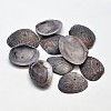 Dyed Natural Shell Beads BSHE-O007-54C-1