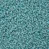 12/0 Grade A Round Glass Seed Beads SEED-N001-B-920-2