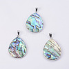 Abalone Shell/Paua Shell Pendants SSHEL-L008-20P-1