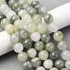 Natural Gemstone Beads Strands G-F808-C02-12mm-1