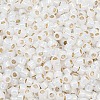 TOHO 8/0 Round Beads SEED-TR08-2100-2