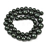 Electroplated Shell Pearl Graduated Beads Strands BSHE-C011-04-02-4