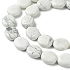 Natural Howlite Beads Strands G-K365-B14-03-4