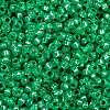 MIYUKI Round Rocailles Beads SEED-X0056-RR0646-3