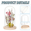 Glass Dome Cover AJEW-WH0348-295I-5