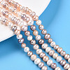 Natural Cultured Freshwater Pearl Beads Strands PEAR-N013-05C-04-1