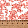 Two Tone Inside Colours Transparent Glass Seed Beads SEED-C004-05G-4