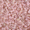 6/0 Glass Seed Beads SEED-N008-07I-3