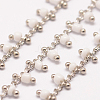 Handmade Seed Beaded Chains X-AJEW-P061-B14-1
