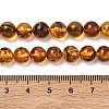 Natural Amber Beads Strands G-L095-B01-8mm-04-3