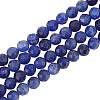 2 Strands Natural Sodalite Beads Strands G-OC0004-85-1