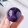 Natural Amethyst Crystal Ball PW-WG69077-10-1