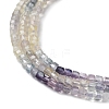 Natural Fluorite Beads Strands G-D080-B01-4