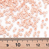 8/0 Opaque Glass Seed Beads X1-SEED-S048-N-013-4