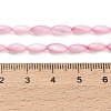 Natural Freshwater Shell Beads Strands SHEL-C010-01E-4