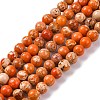 Dyed Natural Regalite/Imperial Jasper/Sea Sediment Jasper Beads Strands G-B124-C02-08-1