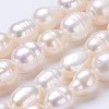 Natural Cultured Freshwater Pearl Beads Strands PEAR-P002-27-1