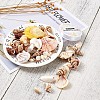 Mixed Shell Beads BSHE-TA0002-05-7