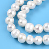 Natural Cultured Freshwater Pearl Beads Strands PEAR-N013-07Q-4