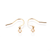 Ion Plating(IP) 304 Stainless Steel Earring Hooks X-STAS-I120-22A-G-2