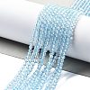 Natural Blue Topaz Beads Strands G-H079-A02-03-2