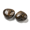 Natural Bronzite Beads G-P531-A23-01-2