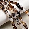 Natural Black Agate Bead Strands G-P070-34-6