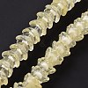 Transparent Glass Beads Strands LAMP-H061-01C-05-3