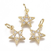 Brass Micro Pave Cubic Zirconia Charms ZIRC-F111-11G-1