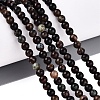 Natural Biotite Beads Strands G-Q616-01A-1