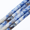 2 Strands Natural Blue Spot Jasper Beads Strands G-OC0001-87-6