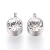 304 Stainless Steel Charms STAS-G118-05P-1