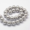 Shell Pearl Beads Strands BSHE-L026-05-10mm-2