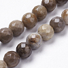 Natural Silver Leaf Jasper Beads Strands X-G-K181-6mm-O01-1