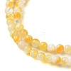 Natural Yellow Shell Beads Strands SHEL-M021-03A-3