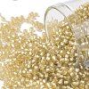 TOHO Round Seed Beads SEED-JPTR11-0022F-1