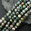 Natural Tree Agate Round Gemstone Beads Strands G-R255-8mm-1