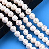 Natural Cultured Freshwater Pearl Beads Strands PEAR-N016-09A-2