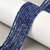 Natural Sodalite Beads Strands G-D306-A01-2mm-B-1