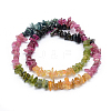 Natural Tourmaline Beads Strands G-P332-73C-2