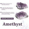 Natural Amethyst Cluster Ornaments DJEW-PA0001-07-6