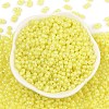 Baking Paint Glass Seed Beads SEED-L011-09A-20-2