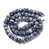 Natural Blue Spot Jasper Beads Strands G-K380-A02-01-3