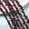 Natural Garnet Beads Strands G-P406-55-5