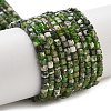 Natural Diopside Beads Strands G-G161-C23-01-1