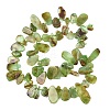 Natural Chrysoprase Beads Strands GG-CBA3D9B-14A-3