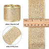 Sparkle Wired Edge Polyester Ribbon OCOR-WH0071-026A-2