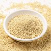 MIYUKI Round Rocailles Beads SEED-G009-RR0493-2