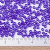 MIYUKI Round Rocailles Beads X-SEED-G007-RR0176-4